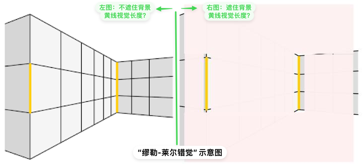 20260206_1131CleanShotCleanShot